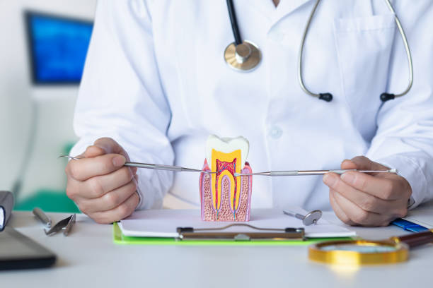 Best Emergency Denture Repair in Jarrell, TX